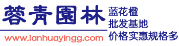 늚(zi)